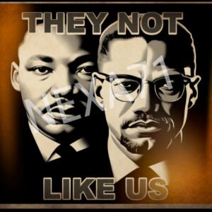 Bold image of Dr. Martin Luther King Jr. and Malcolm X. Side by side with the slogan "They not Like Us".