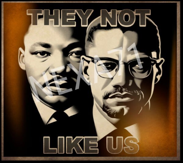 Bold image of Dr. Martin Luther King Jr. and Malcolm X. Side by side with the slogan "They not Like Us".