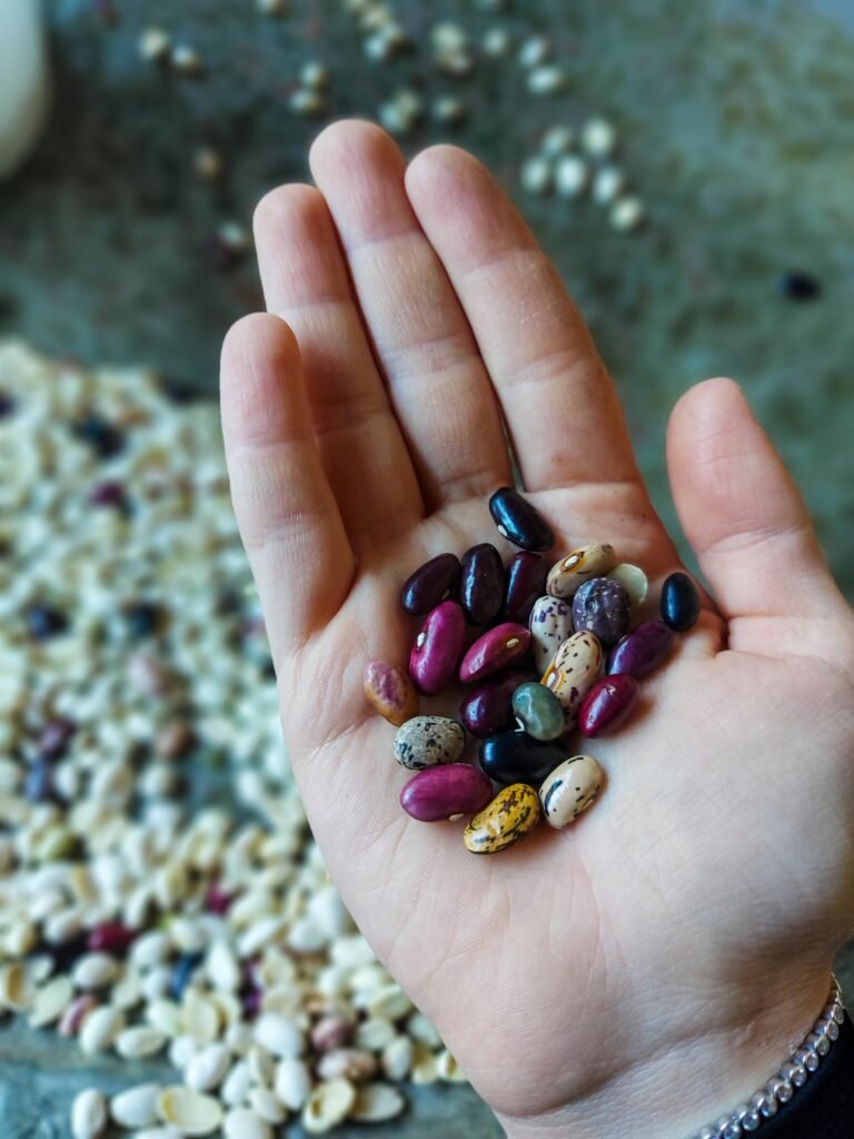 A close-up of diverse, colorful beans held in a person's hand against a textured background.